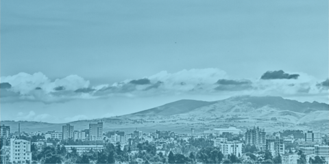 Getting to know Africa’s 100 largest cities - ACRC