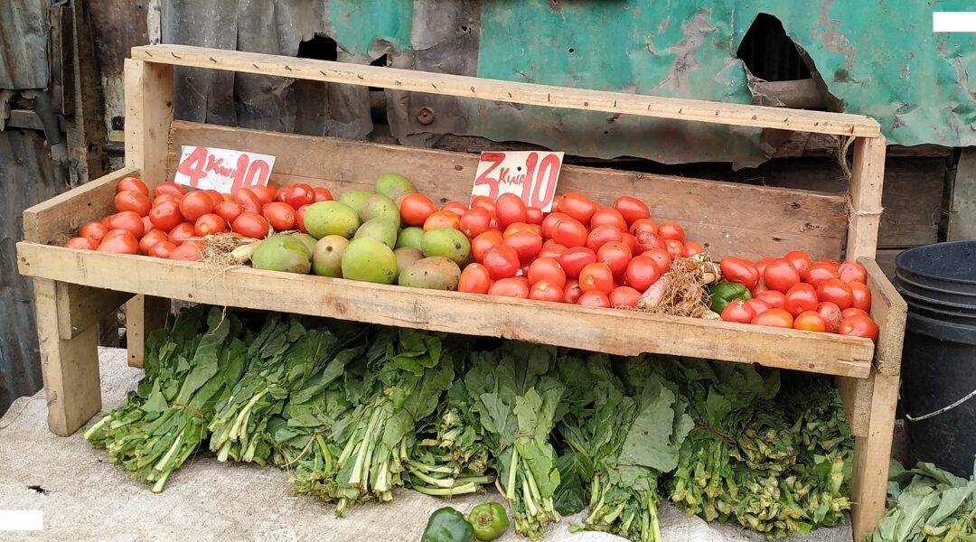 New paper: Strengthening food and nutrition security in Nairobi’s informal settlements