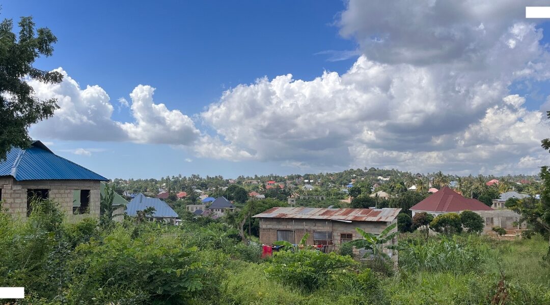 New research: Are reform coalitions the key to more inclusive urban housing in Africa?