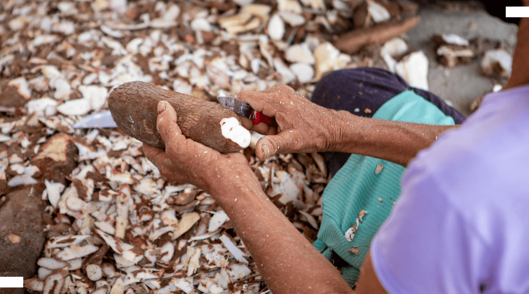 New research: Unearthing the realities of food security in Bukavu