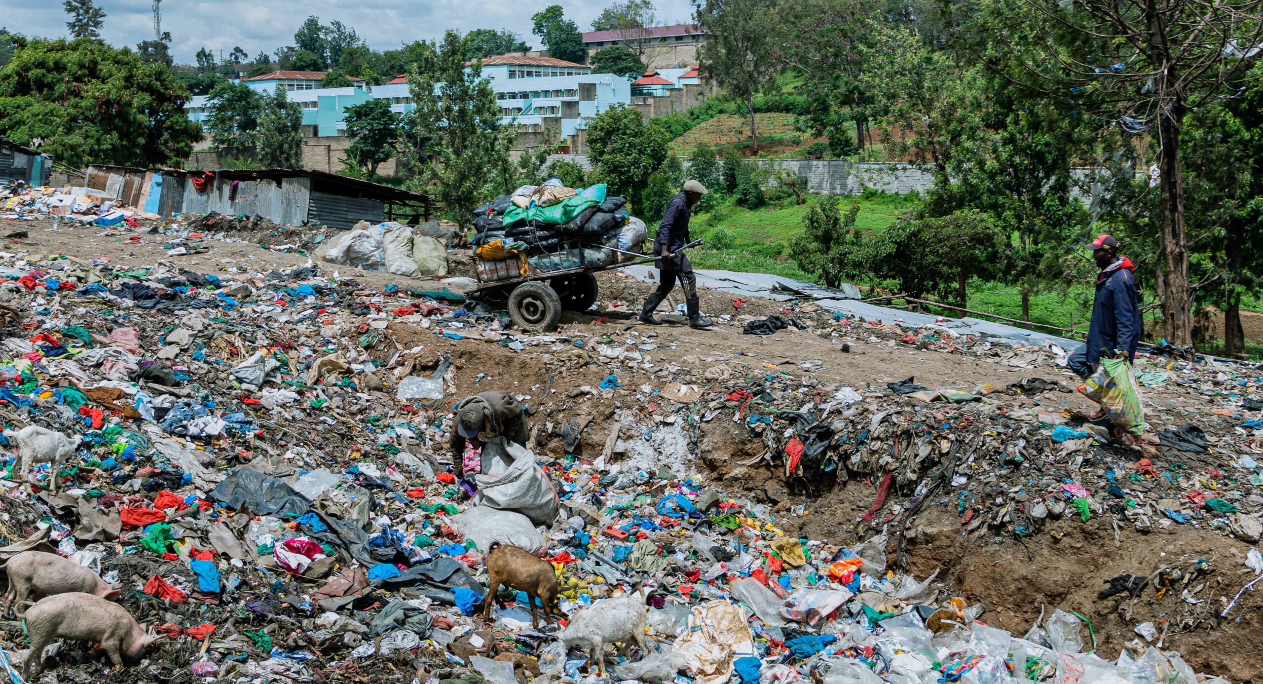 Dumping site