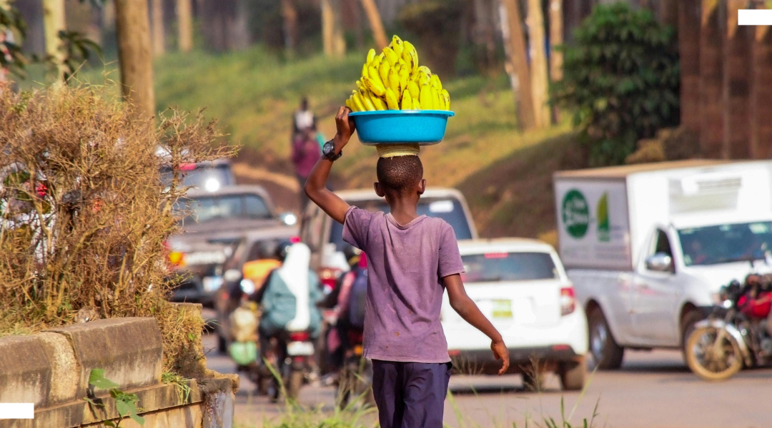 New research: How political and urban systems shape access to healthy diets in Kampala’s informal settlements
