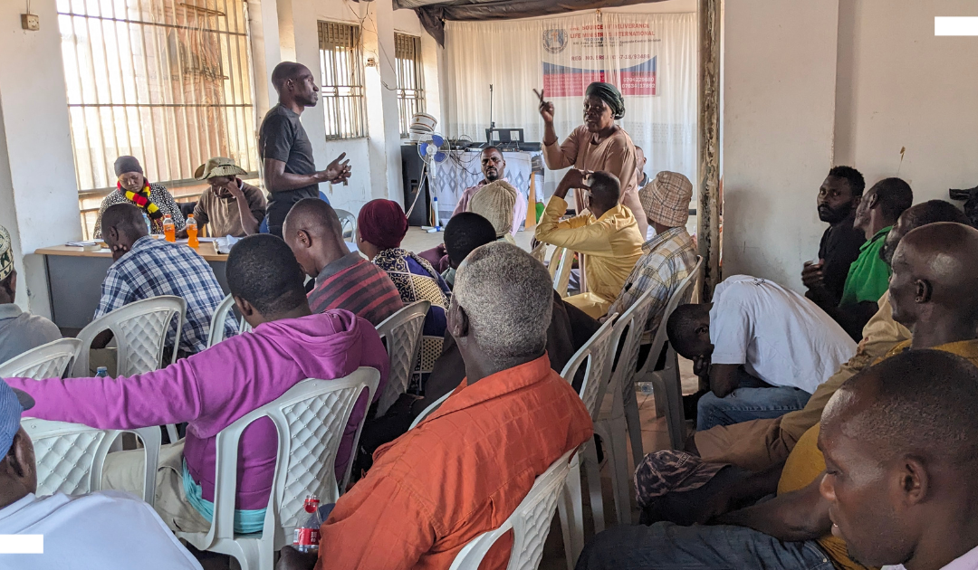 Mapping electricity access in Kampala’s informal settlements: Kamyufus, subsidies and community perceptions