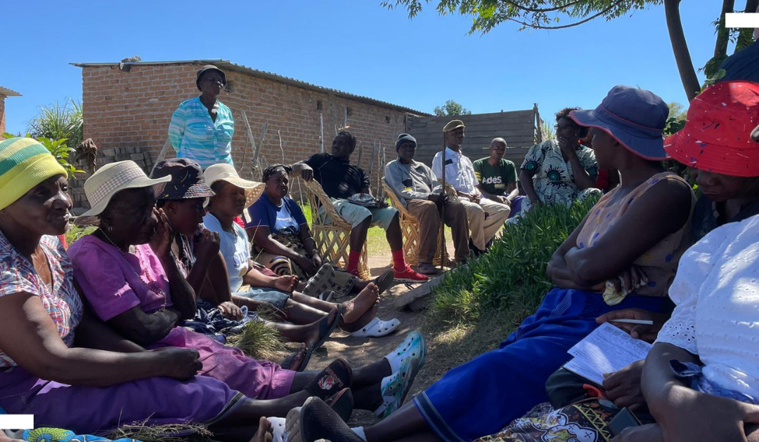 Navigating different approaches to urban reform in Harare
