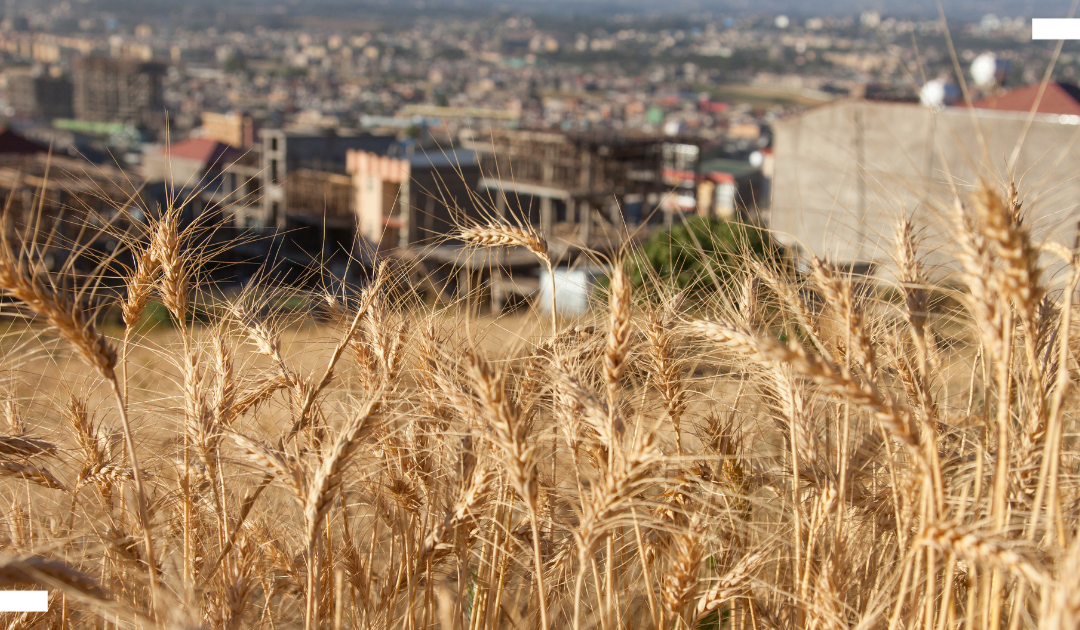 How rural–urban migration is unsettling gender norms in Ethiopia