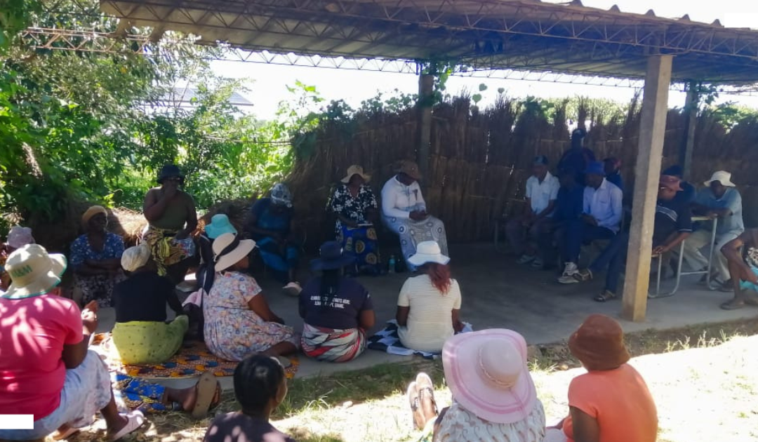 Climate savings: How Harare’s informal settlement communities are leading adaptation efforts